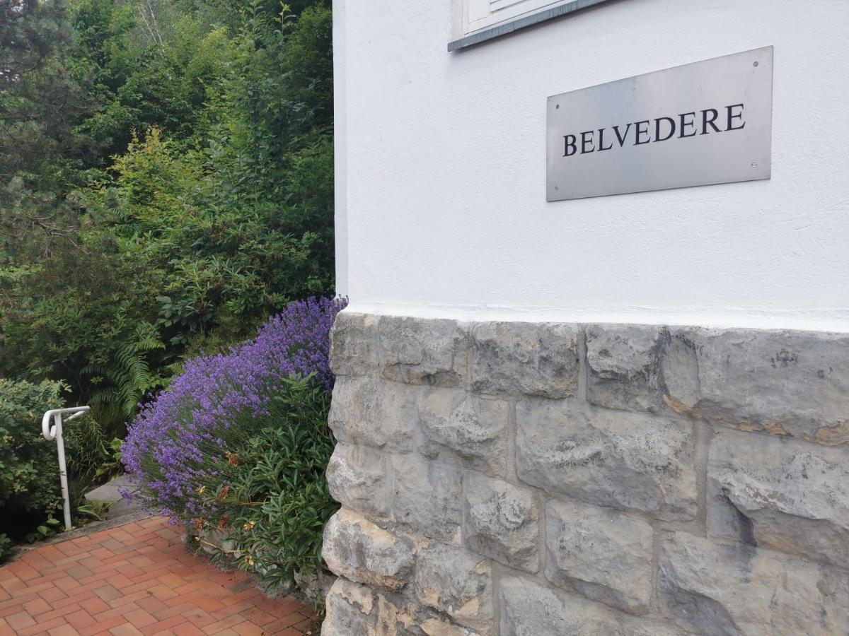 Villa Belvedere Rathen Extérieur photo