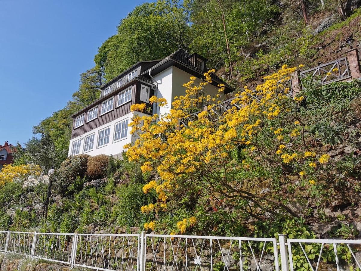 Villa Belvedere Rathen Extérieur photo