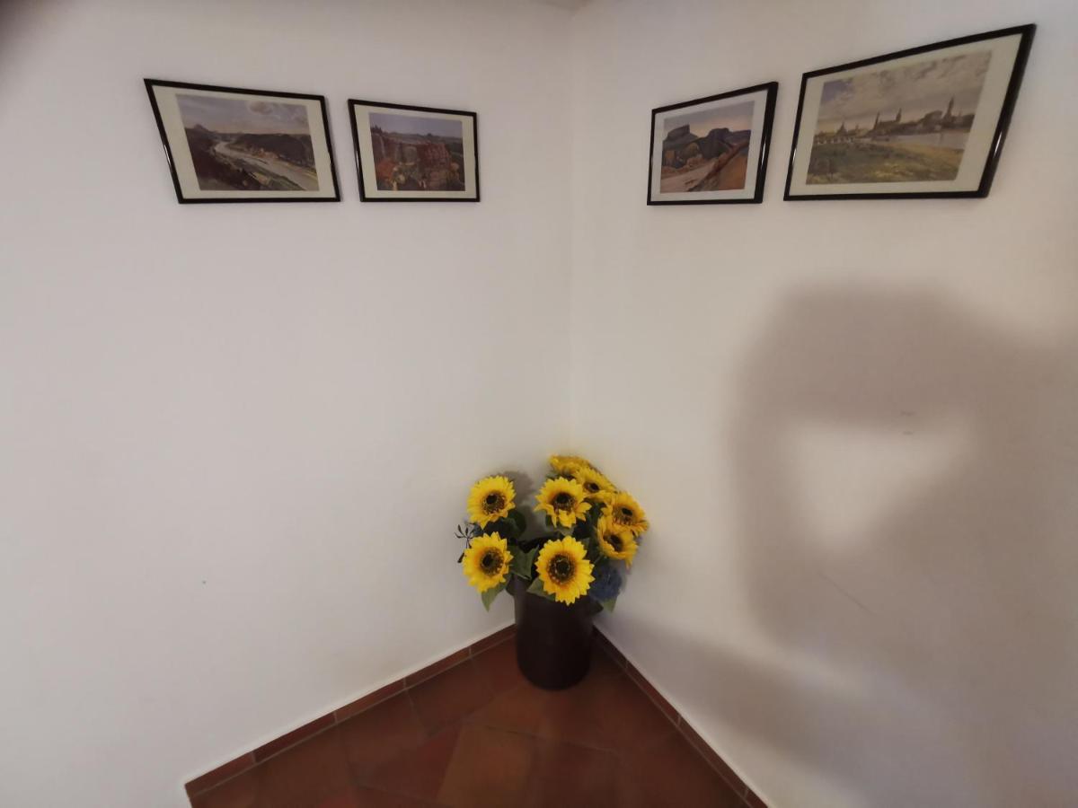 Villa Belvedere Rathen Extérieur photo